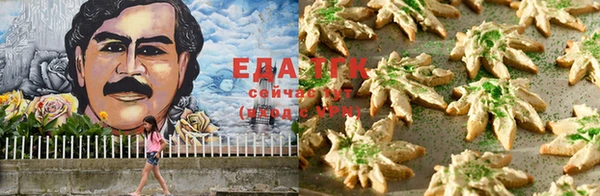 тгк Новокубанск
