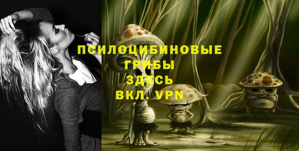 индика Нефтекумск