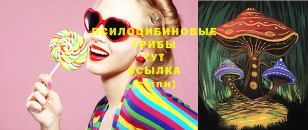 марки nbome Новозыбков