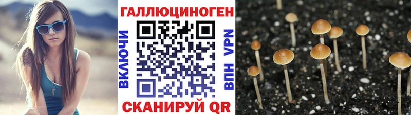 Псилоцибиновые грибы ЛСД  магазин    Минусинск 