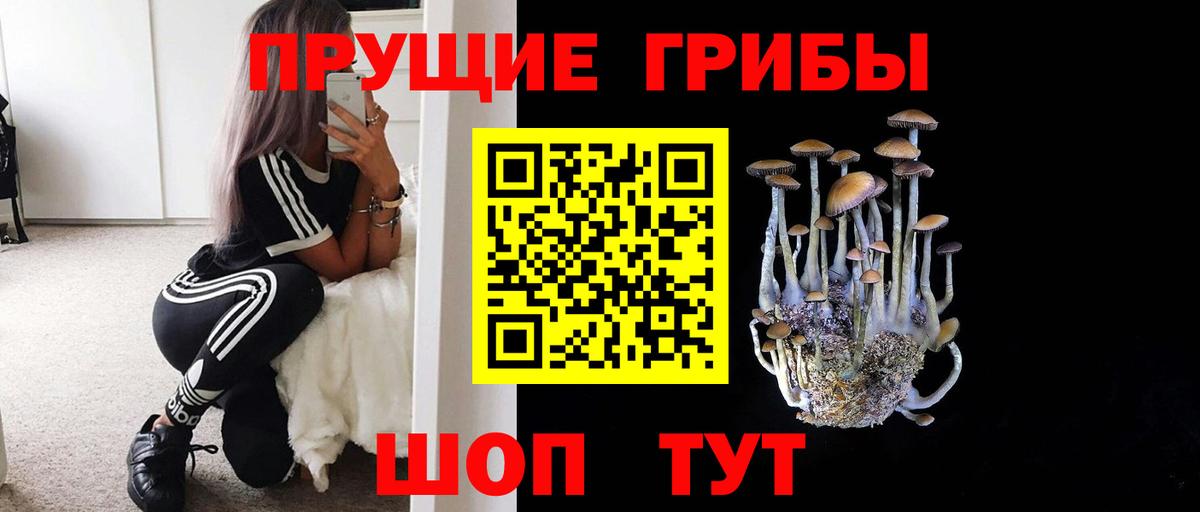 Галлюциногенные грибы Cubensis  Вход с VPN  Минусинск  купить наркоту  Псилоцибиновые грибы мухоморы 