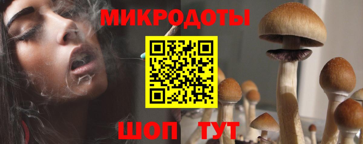 Галлюциногенные грибы Psilocybine cubensis Минусинск